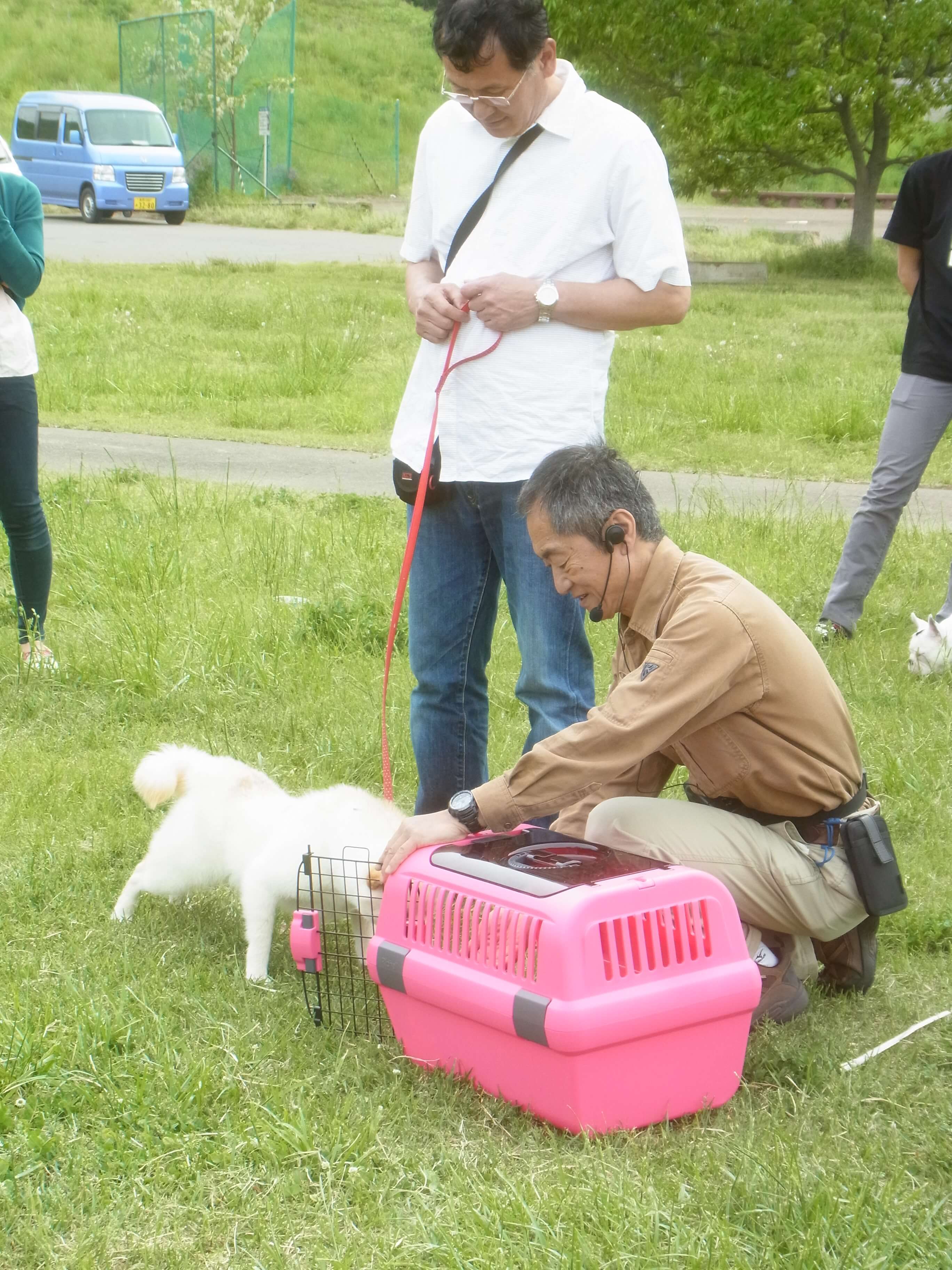 愛犬教室　2015年5月16日