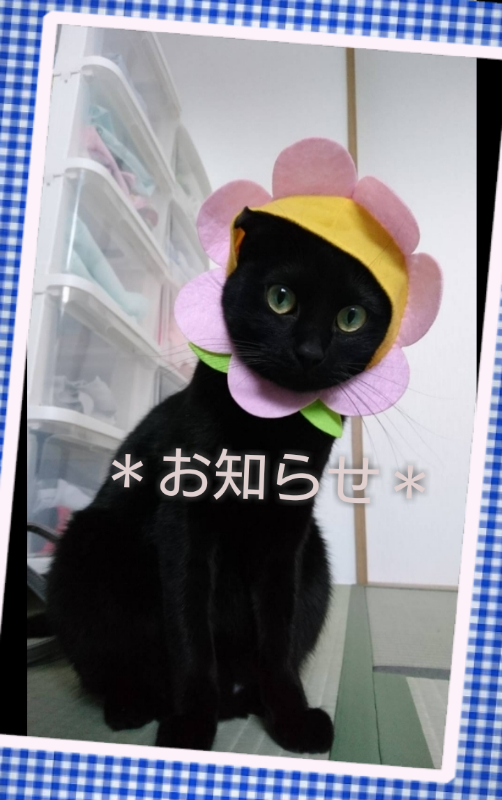 獣医師不在のお知らせ