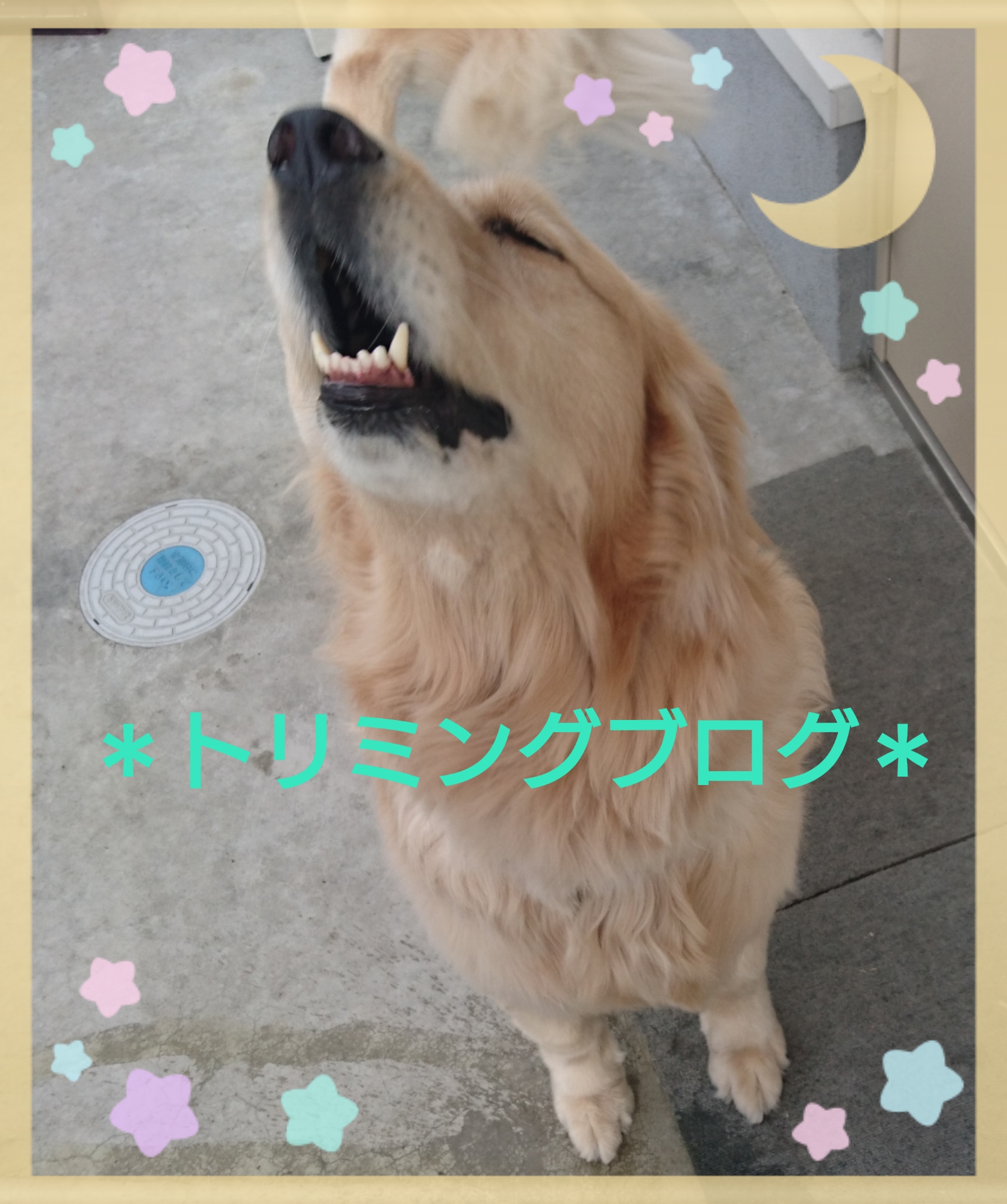 9月、10月のお誕生日ちゃん(●´ω｀●)