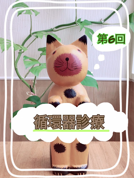 第6回循環器診療のお知らせ