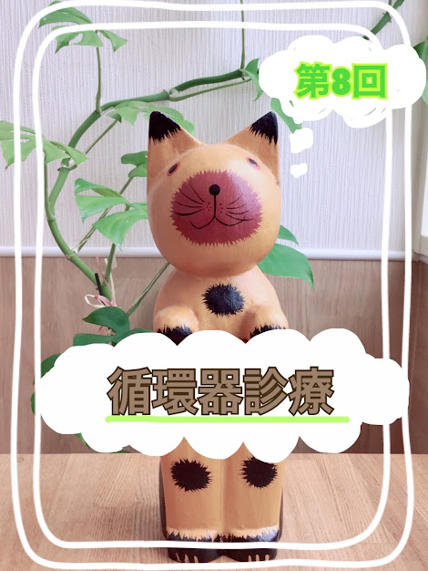 第8回循環器診療のお知らせ