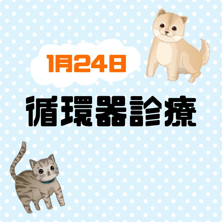 循環器診療のお知らせ