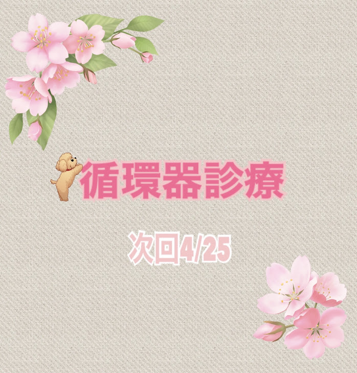 循環器診療のお知らせ