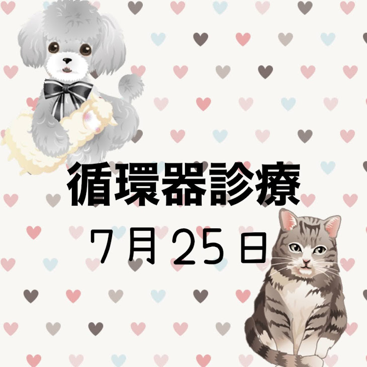 循環器診療のお知らせ