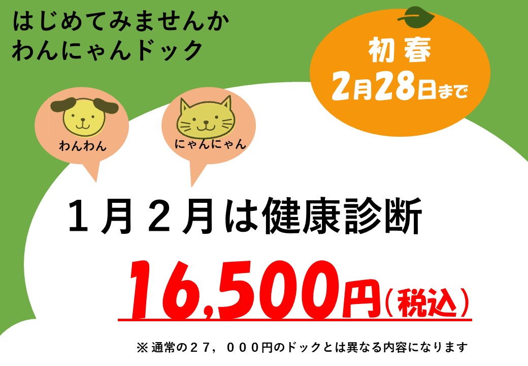 わんにゃんドックキャンペーンのお知らせ