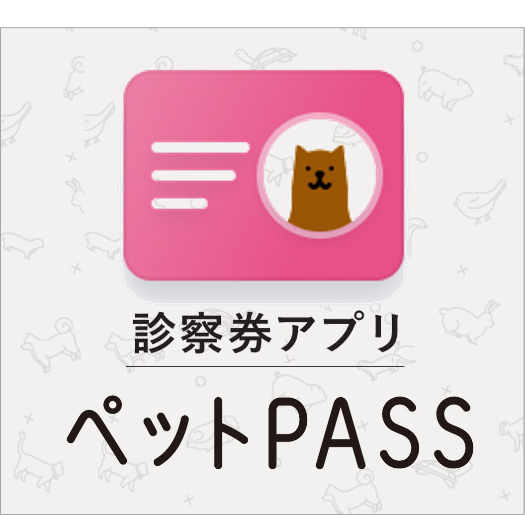 当日診察受付アプリ『ペットPASS』を導入します