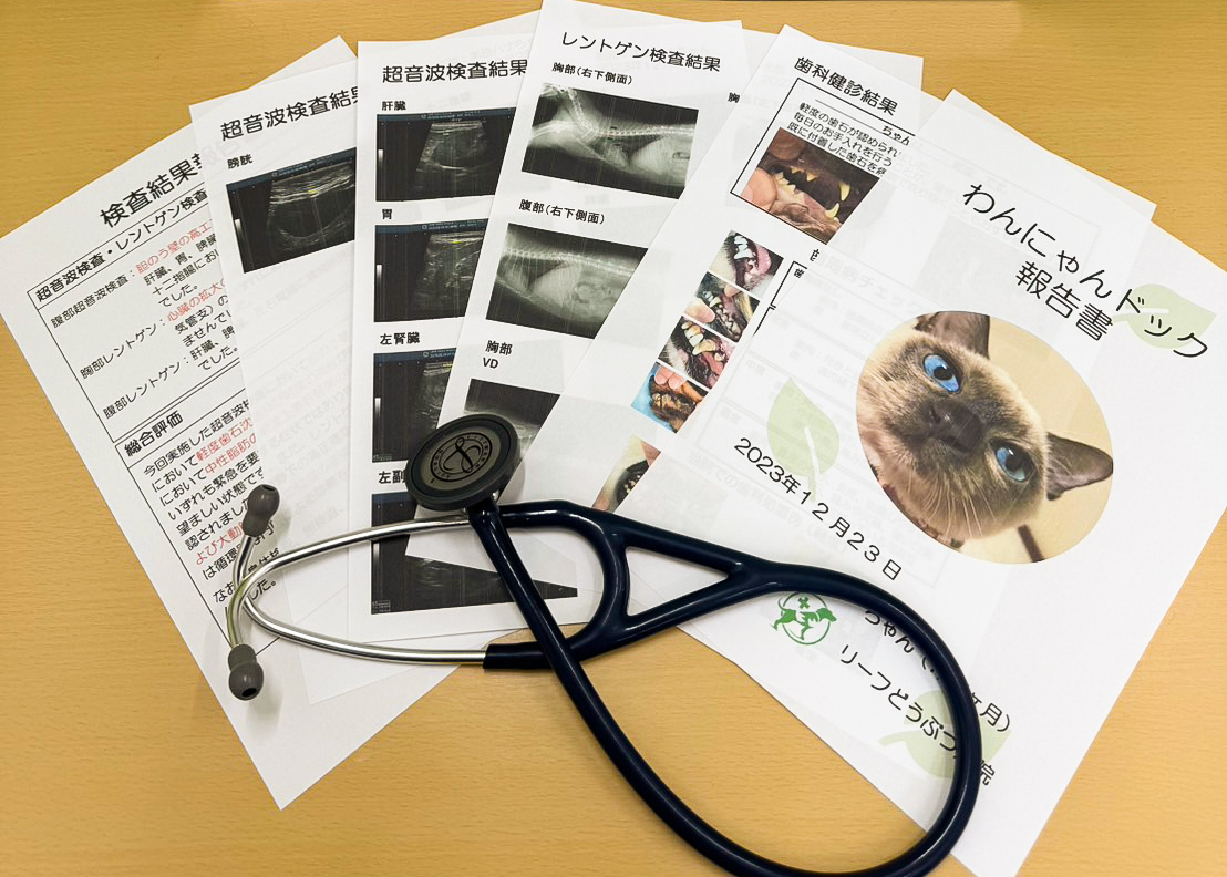 予防・健康診断